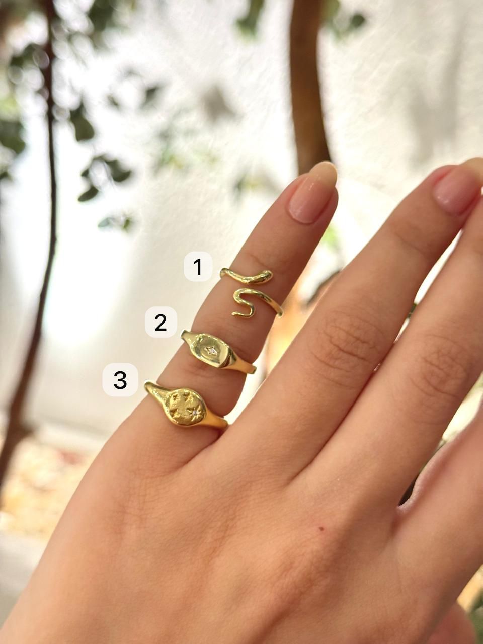 The Pinky Ring