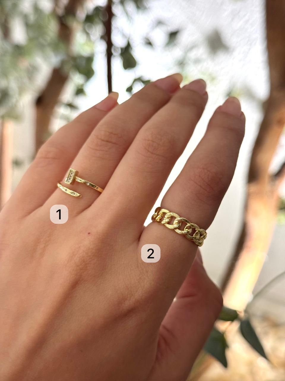 The Basic Ring