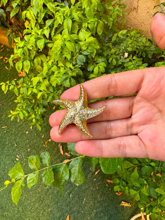Sea essential Brooch