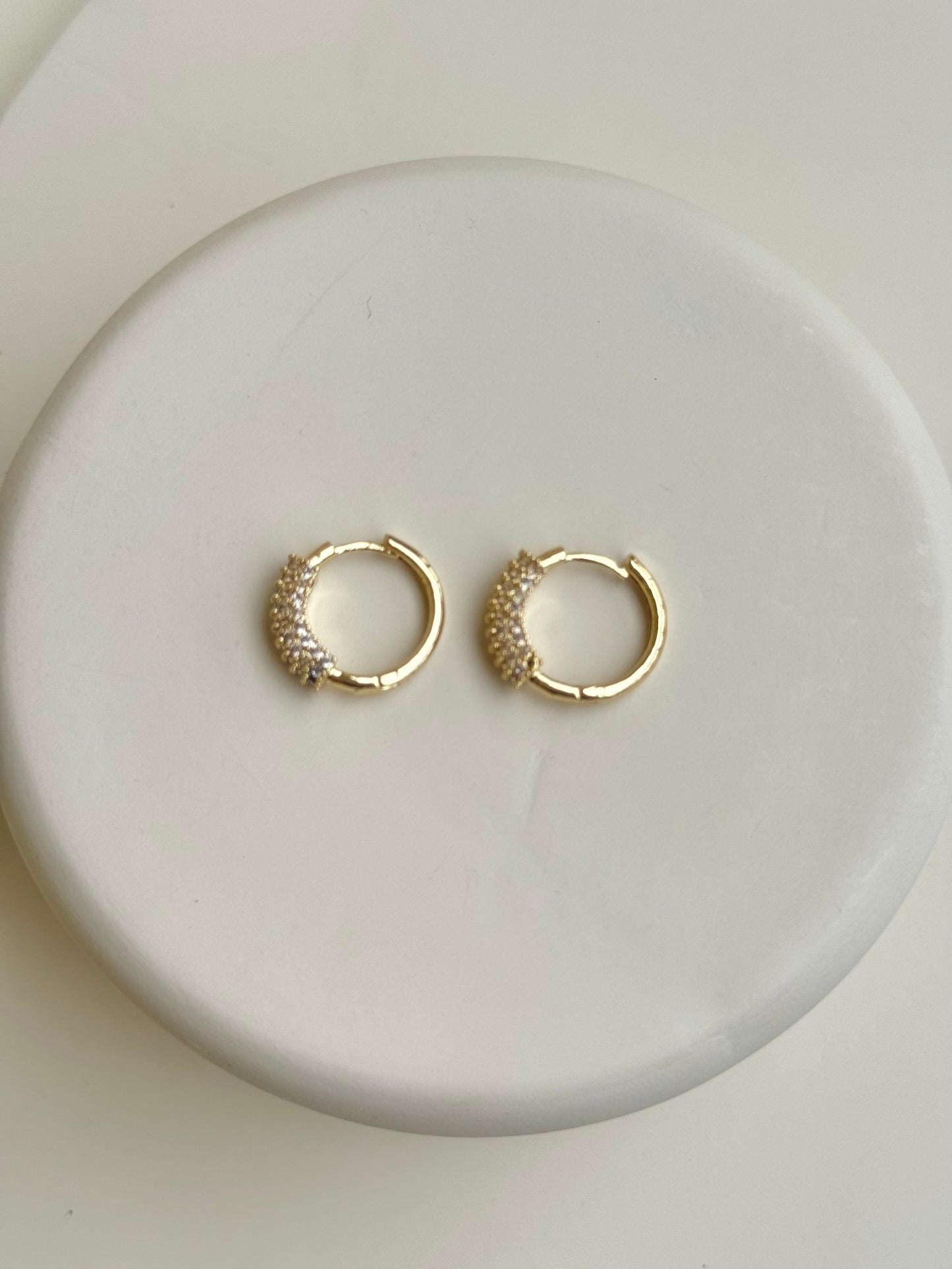 Circled Earring