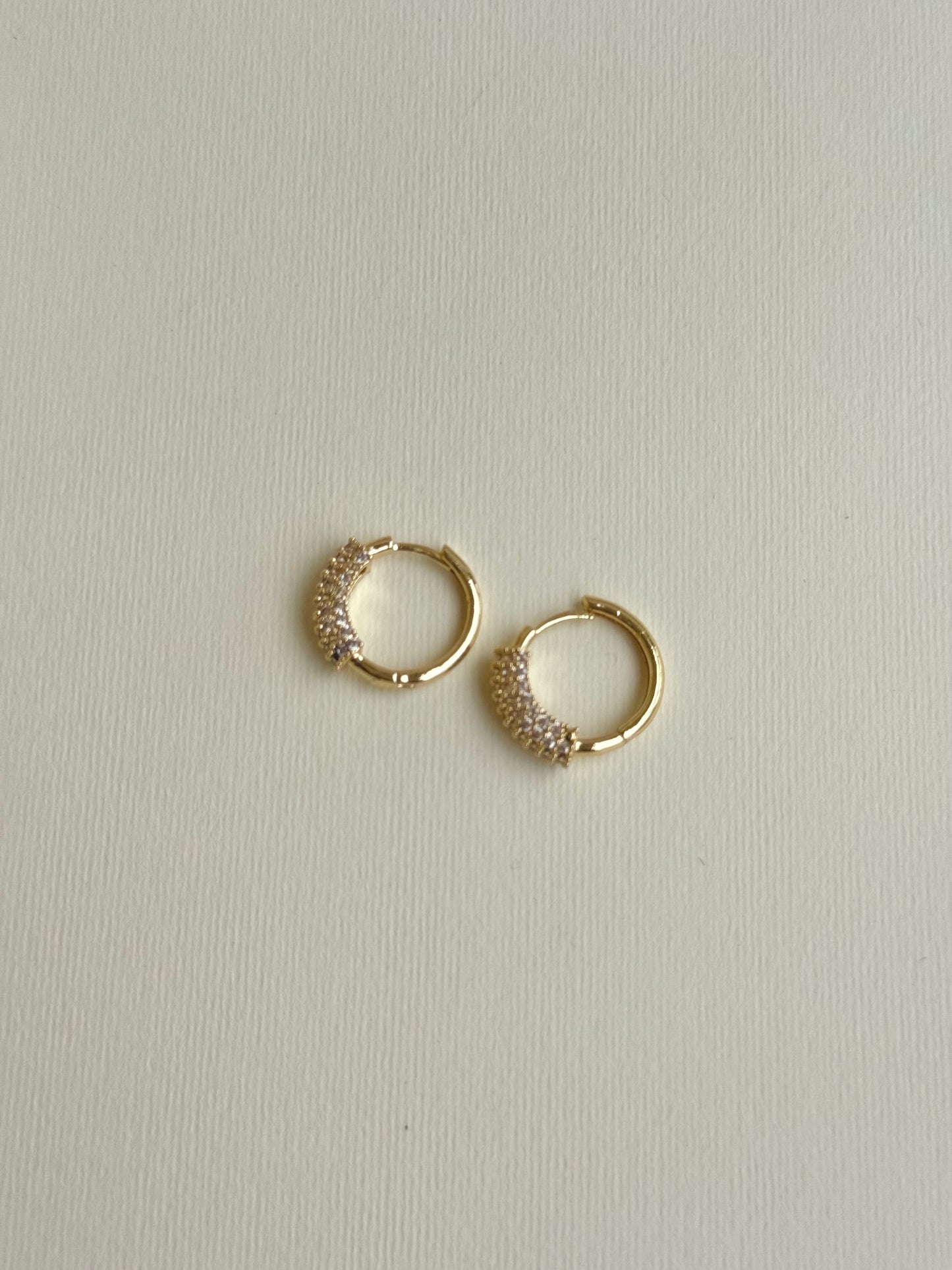 Circled Earring