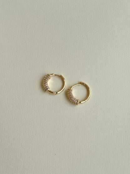 Circled Earring