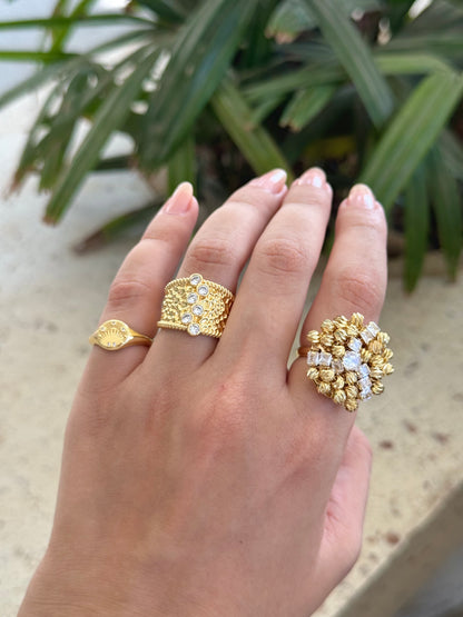 Sunrise rings